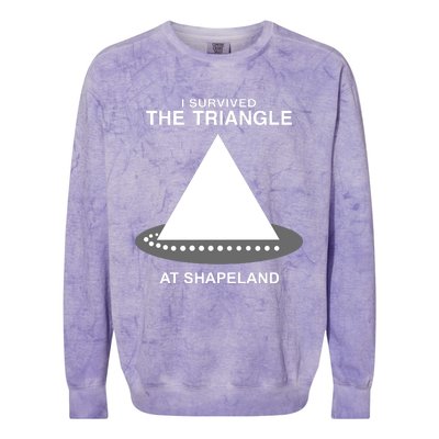 I Survived The Triangle At Shapeland Colorblast Crewneck Sweatshirt