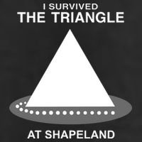 I Survived The Triangle At Shapeland Cool Comfort Performance Bucket Hat