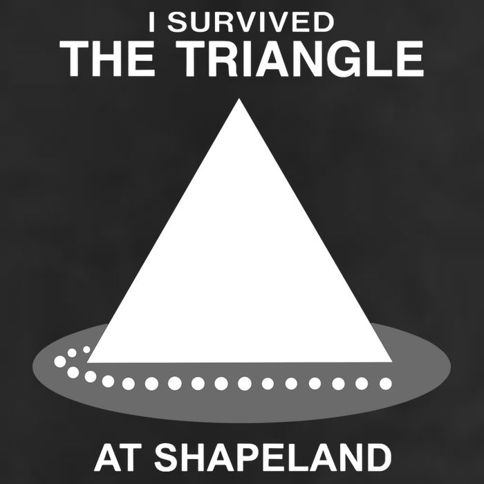 I Survived The Triangle At Shapeland Cool Comfort Performance Bucket Hat