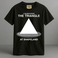 I Survived The Triangle At Shapeland Garment-Dyed Heavyweight T-Shirt