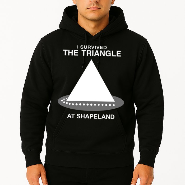 I Survived The Triangle At Shapeland Hoodie