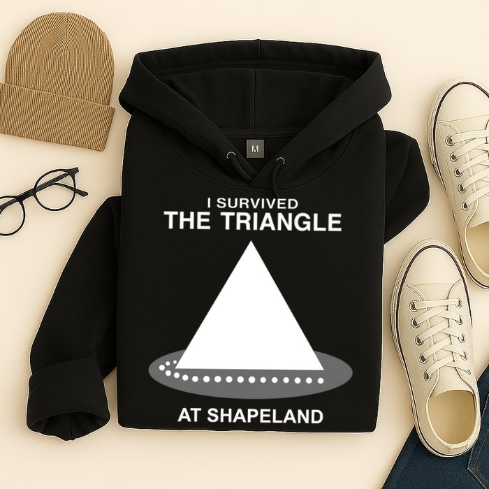 I Survived The Triangle At Shapeland Hoodie