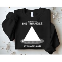 I Survived The Triangle At Shapeland Sweatshirt