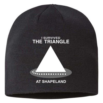 I Survived The Triangle At Shapeland Sustainable Beanie