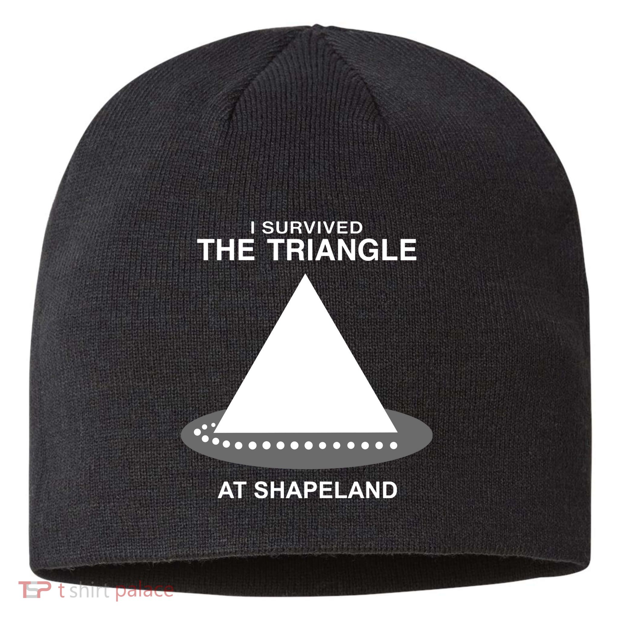 I Survived The Triangle At Shapeland Sustainable Beanie