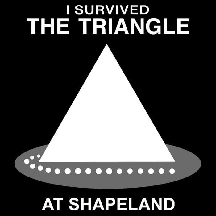 I Survived The Triangle At Shapeland 16 in Basic Backpack