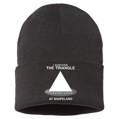 I Survived The Triangle At Shapeland Sustainable Knit Beanie