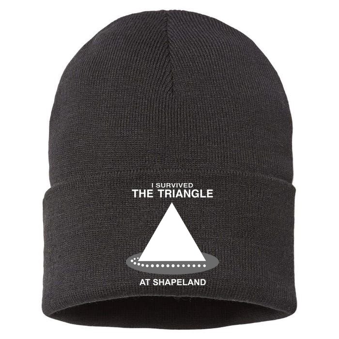 I Survived The Triangle At Shapeland Sustainable Knit Beanie