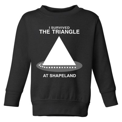 I Survived The Triangle At Shapeland Toddler Sweatshirt