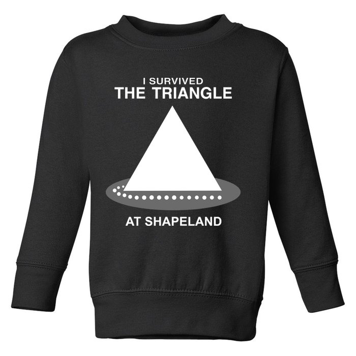 I Survived The Triangle At Shapeland Toddler Sweatshirt