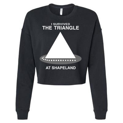 I Survived The Triangle At Shapeland Cropped Pullover Crew