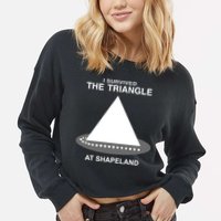 I Survived The Triangle At Shapeland Cropped Pullover Crew