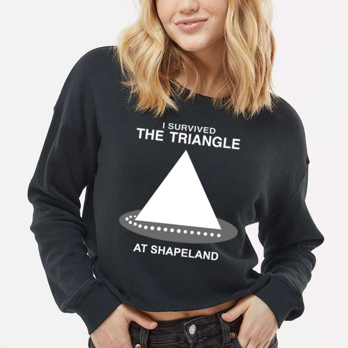 I Survived The Triangle At Shapeland Cropped Pullover Crew