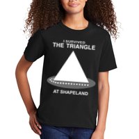 I Survived The Triangle At Shapeland Kids T-Shirt