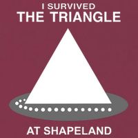 I Survived The Triangle At Shapeland 16oz Travel Tumbler