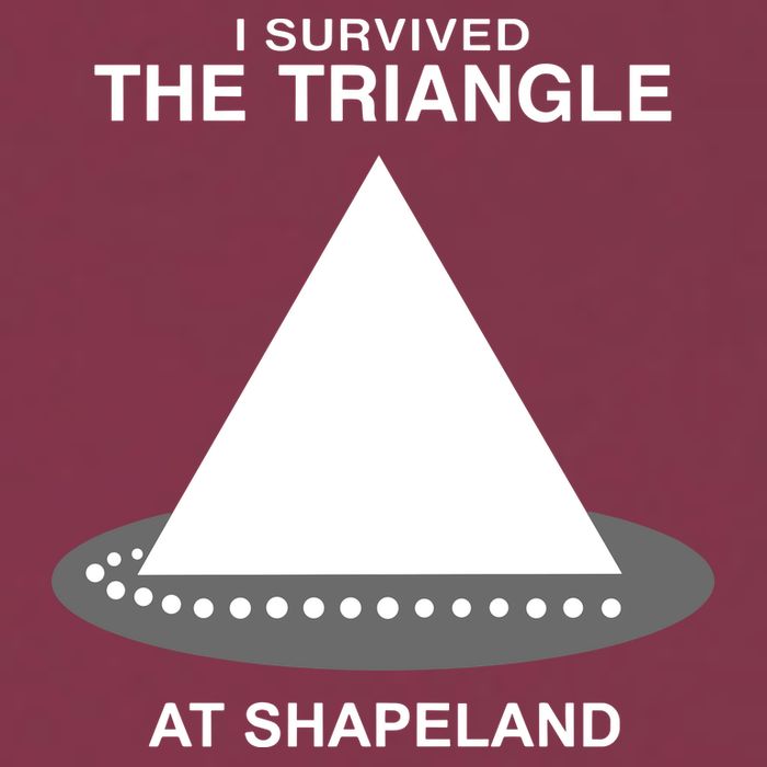 I Survived The Triangle At Shapeland 16oz Travel Tumbler