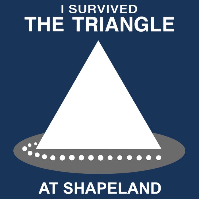I Survived The Triangle At Shapeland Infant Baby Jersey Bodysuit