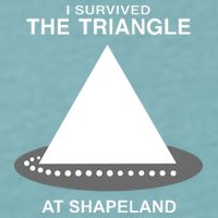 I Survived The Triangle At Shapeland Sueded Cloud Jersey T-Shirt