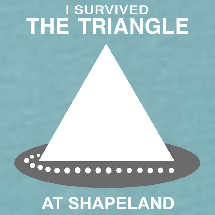I Survived The Triangle At Shapeland Sueded Cloud Jersey T-Shirt