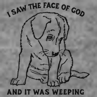 I Saw The Face Of God And It Was Weeping Tall Hoodie