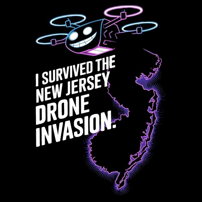 I Survived The New Jersey Drone Invasion Ladies Long Sleeve Shirt