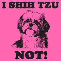 I SHIH TZU NOT Funny Shih Tzu Dog Stripe Pom Pom Beanie