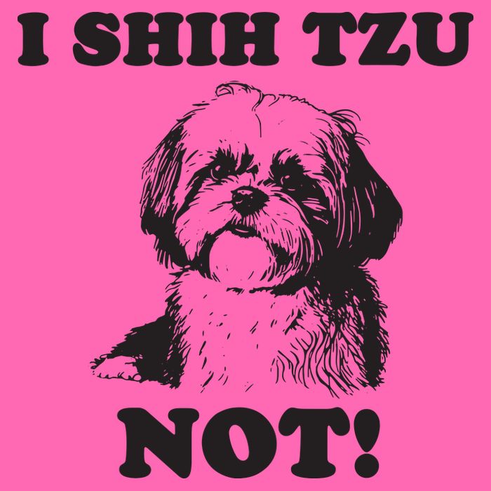 I SHIH TZU NOT Funny Shih Tzu Dog Stripe Pom Pom Beanie