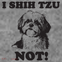 I SHIH TZU NOT Funny Shih Tzu Dog Toddler Hoodie