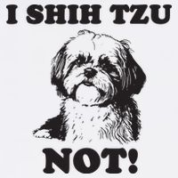 I SHIH TZU NOT Funny Shih Tzu Dog Wool Snapback Cap