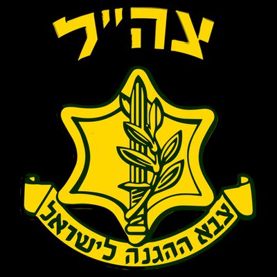Idf Support Tzahal Tees Israel Defense Forces T-Shirt