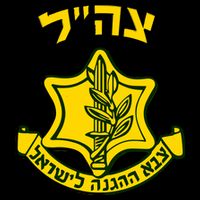 Idf Support Tzahal Tees Israel Defense Forces 16 in Basic Backpack