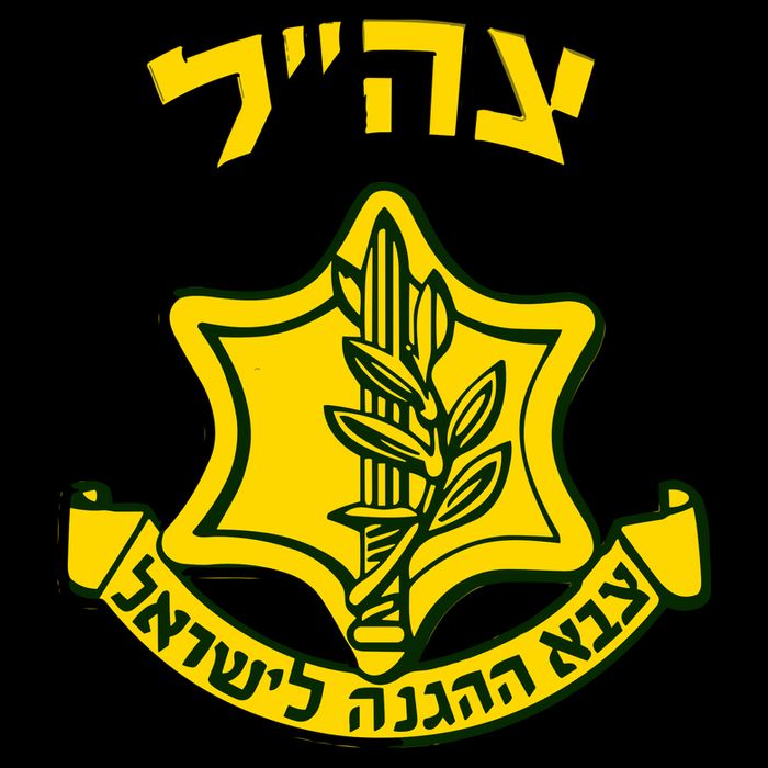 Idf Support Tzahal Tees Israel Defense Forces 16 in Basic Backpack