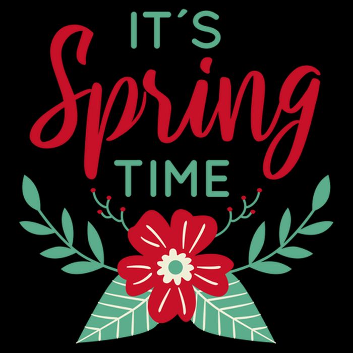 It's Spring Time Flower 16oz Travel Tumbler