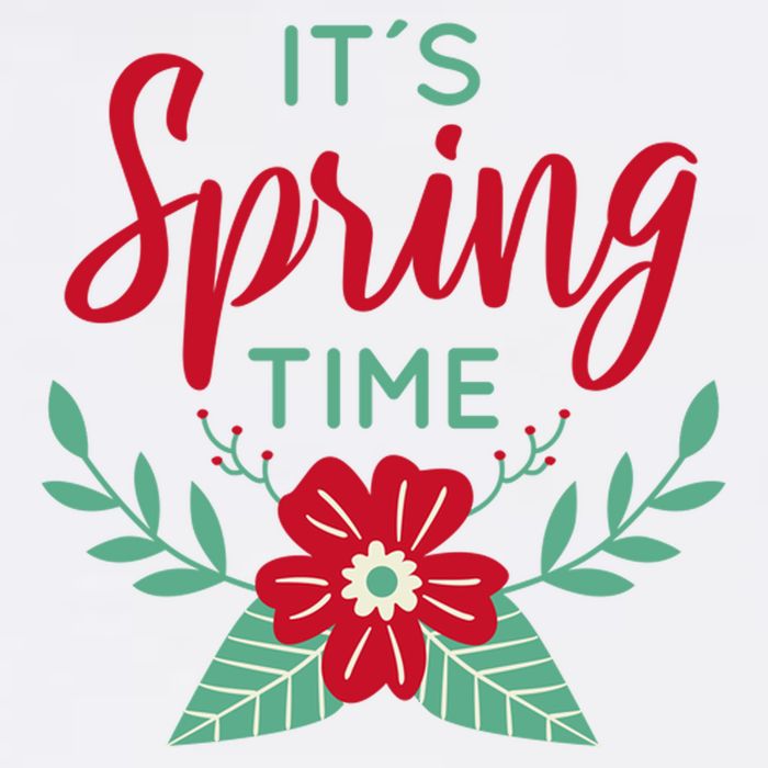 It's Spring Time Flower Mug