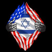 Israel Strong Usa Israel Flag American Israeli Roots Jewish 16 in Basic Backpack