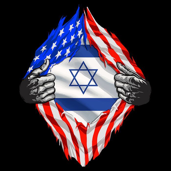 Israel Strong Usa Israel Flag American Israeli Roots Jewish 16 in Basic Backpack