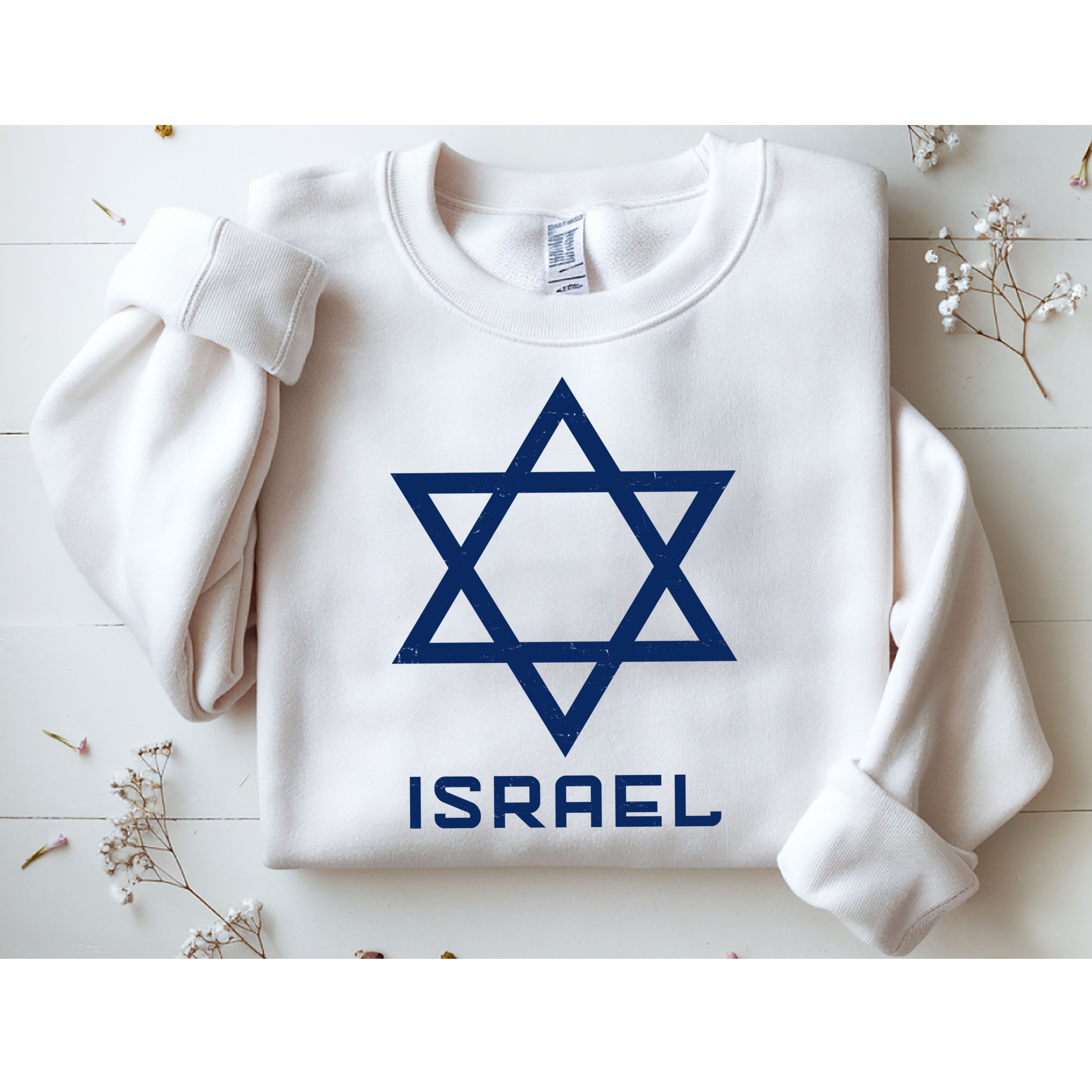 Israel Star Vintage Sweatshirt