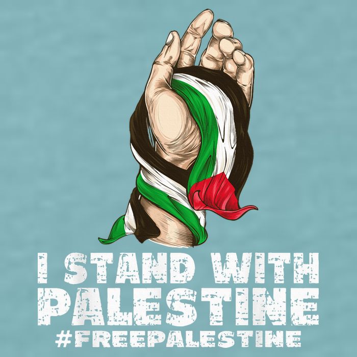 I Stand With Palestine For Their Freedom Free Palestine Sueded Cloud Jersey T-Shirt