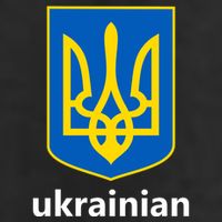 I Stand With Ukraine USA Support Ukrainian Pride Trident Adult Drive Performance Visor