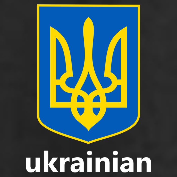 I Stand With Ukraine USA Support Ukrainian Pride Trident Adult Drive Performance Visor