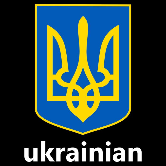 I Stand With Ukraine USA Support Ukrainian Pride Trident Wool Snapback Cap