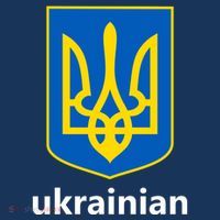 I Stand With Ukraine USA Support Ukrainian Pride Trident Sustainable Bucket Hat