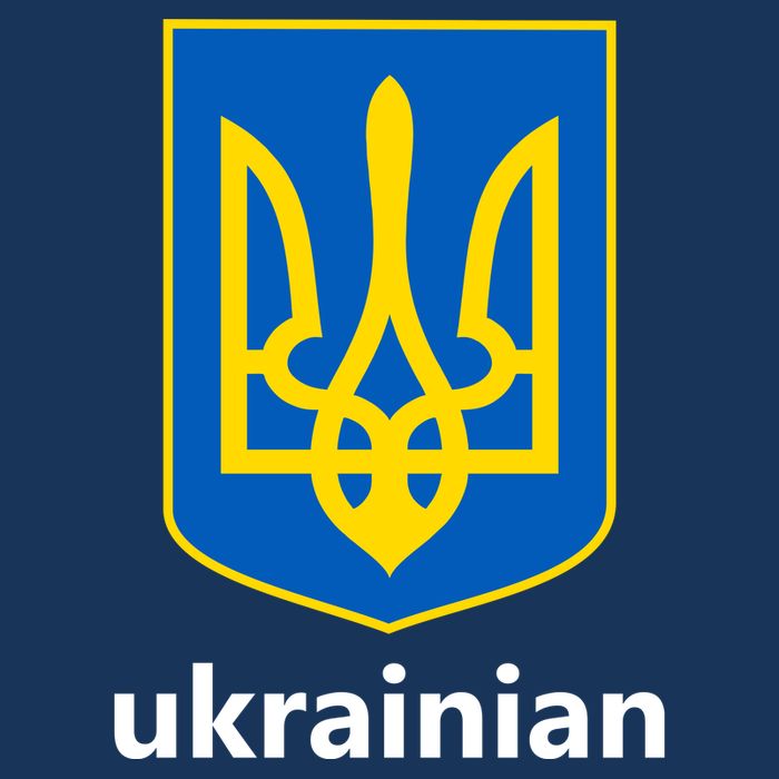 I Stand With Ukraine USA Support Ukrainian Pride Trident Flatbill Hat