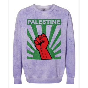 I Stand With Palestine For Their Freedom Free Palestine Colorblast Crewneck Sweatshirt