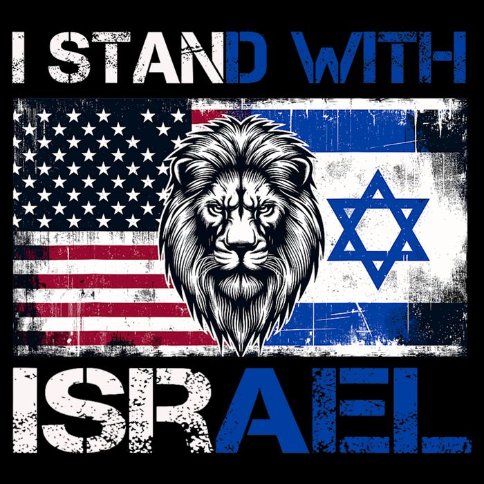 I Stand With Israel US Support Lion Love Israeli Brotherhood Women's Crop Top Tee