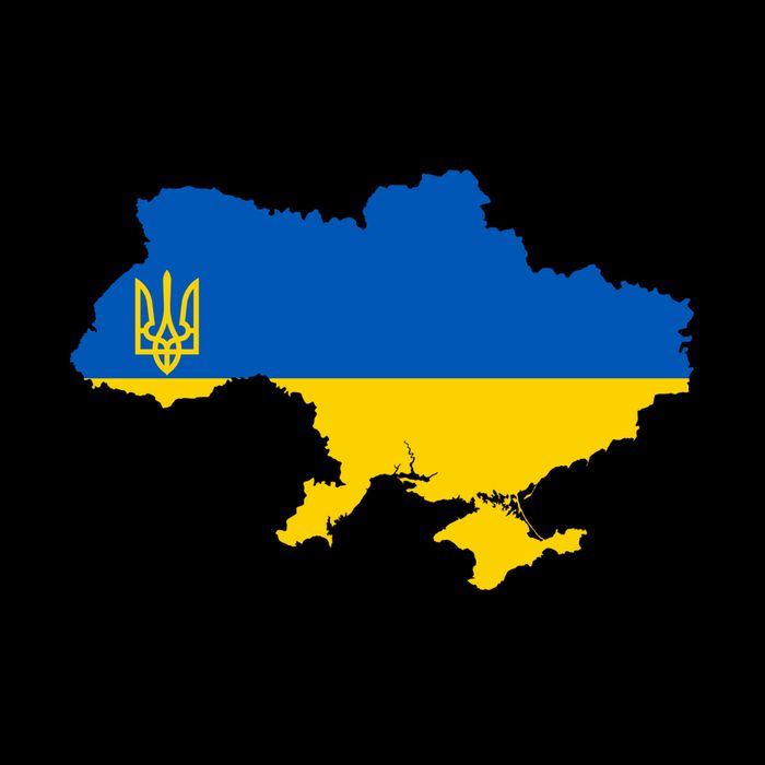 I Stand With Ukraine Map Mug