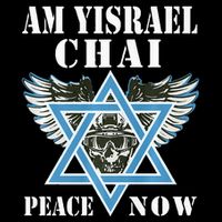 I Stand With Israel Am Yisrael Chai Peace Now  7-Panel Snapback Hat