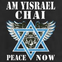 I Stand With Israel Am Yisrael Chai Peace Now  Adult Drive Performance Visor