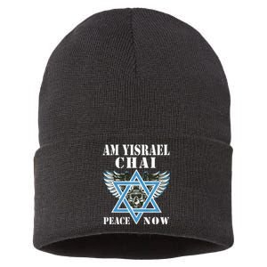 I Stand With Israel Am Yisrael Chai Peace Now  Sustainable Knit Beanie