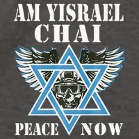 I Stand With Israel Am Yisrael Chai Peace Now  Vector Backpack